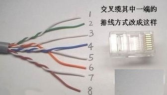 网线和水晶头制作教程 从零开始掌握网络连接技巧